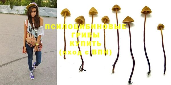 кокс Беломорск