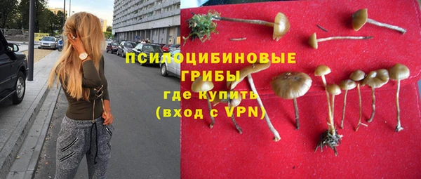 СК Белокуриха
