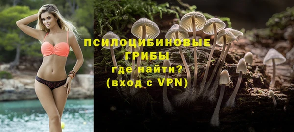 СК Белокуриха