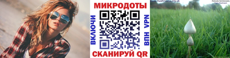 Псилоцибиновые грибы Psilocybine cubensis Крымск